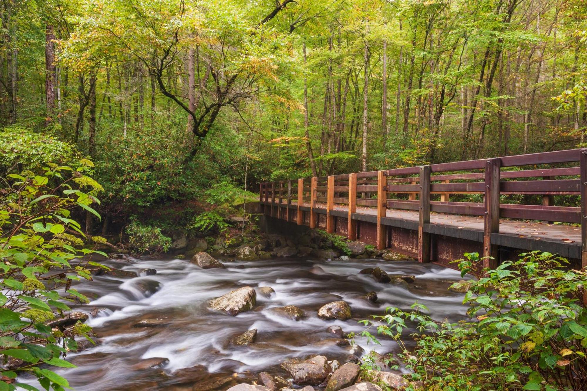 Forever Yours, Hot Tub, 1089 Of Free Attraction Tickets For Each Paid Day, Dollywood And More Pigeon Forge Kültér fotó